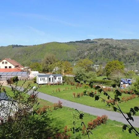 4 Pers Avec Terrasse Et Accès Pmr à - Api-1-52-1231 Vic-sur-Cère