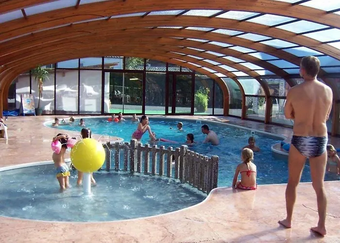 4 Pers Avec Terrasse Et Accès Pmr à - Api-1-52-1231 Vic-sur-Cère