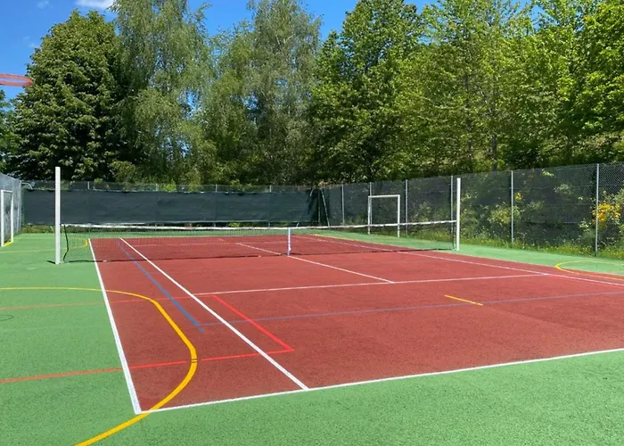 4 Pers Avec Terrasse Et Accès Pmr à - Api-1-52-1231 * Vic-sur-Cère