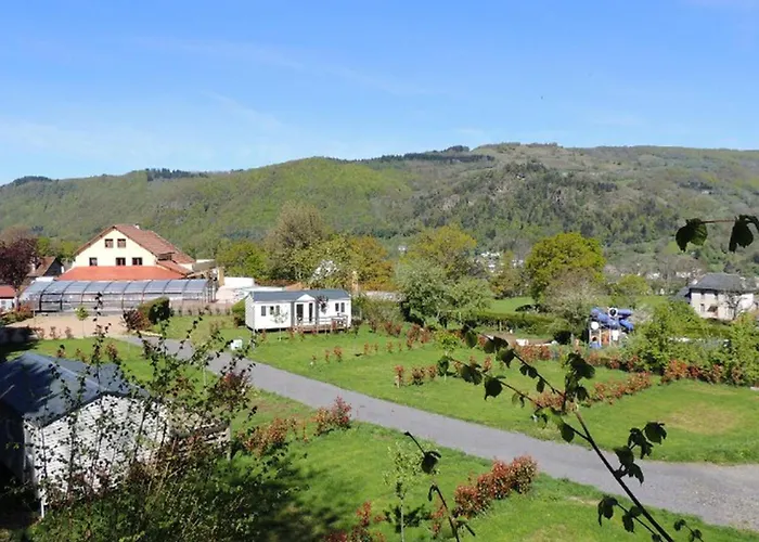 4 Pers Avec Terrasse Et Accès Pmr à - Api-1-52-1231 Vic-sur-Cère